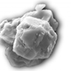 One of 40 grains extracted from the meteorite, as seen through an electron microscope.